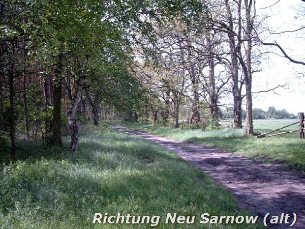 Richtung Neu Sarnow (alt)